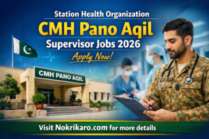 Station Health Organization CMH Pano Aqil Supervisor Jobs 2026–New Vacancies | Apply Now
